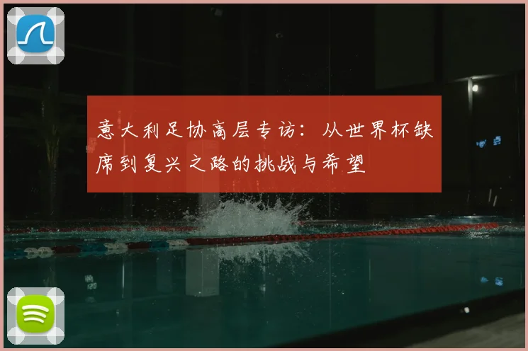 意大利足协高层专访：从世界杯缺席到复兴之路的挑战与希望