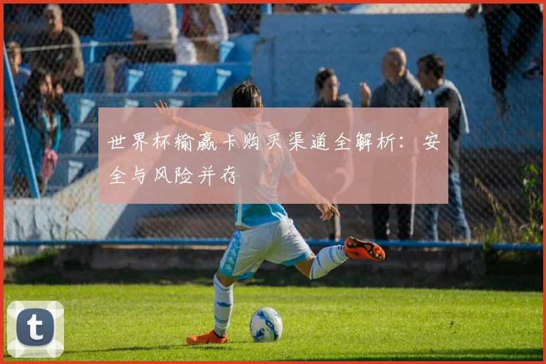 世界杯输赢卡购买渠道全解析：安全与风险并存